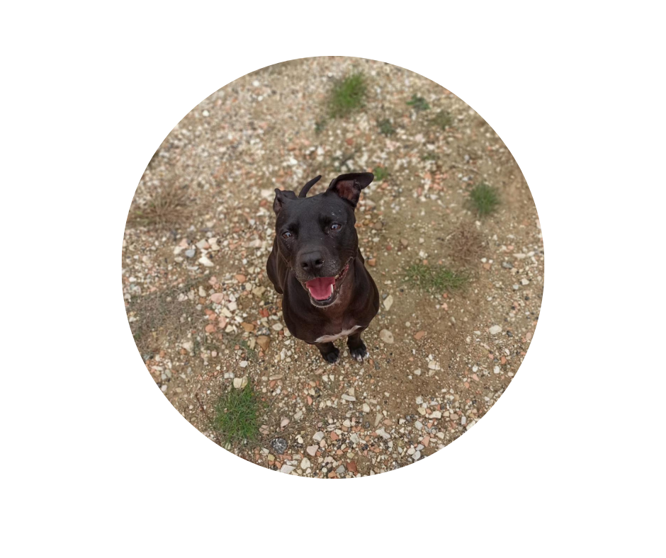 Progetto senza titolo (24)