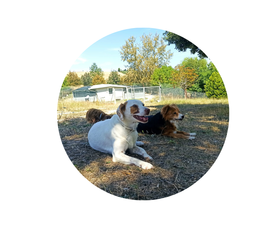 Progetto senza titolo (39)